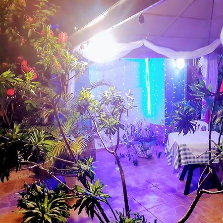 Hotel El Tronco Inc Boca Chica Εξωτερικό φωτογραφία