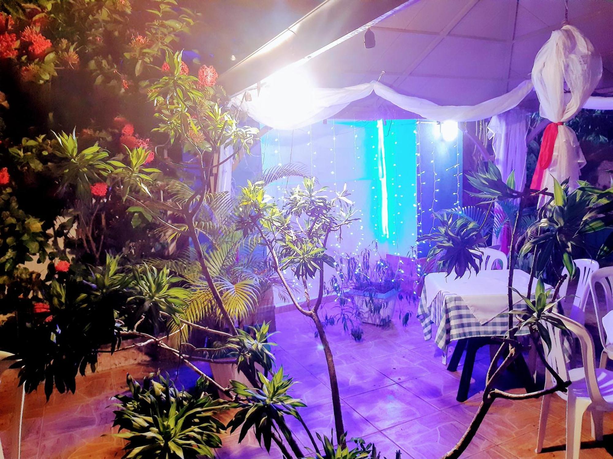 Hotel El Tronco Inc Boca Chica Εξωτερικό φωτογραφία